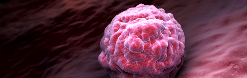 cannabis health effects - reproductive system