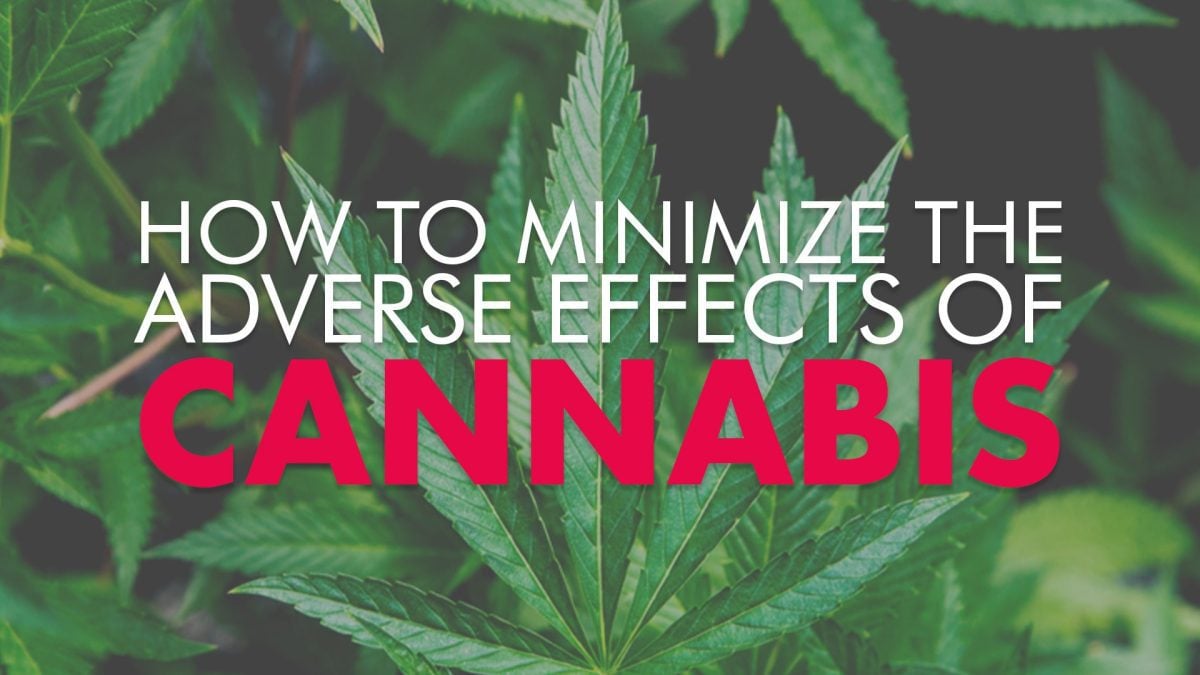 How to Minimize Adverse Effects of Cannabis
