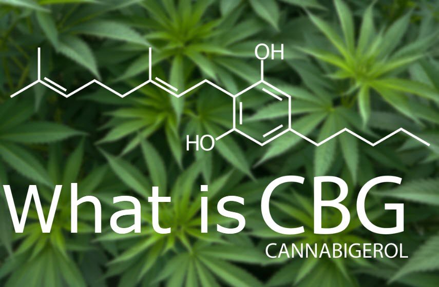 cannabis plants with CBG cannabinoid chemical structure