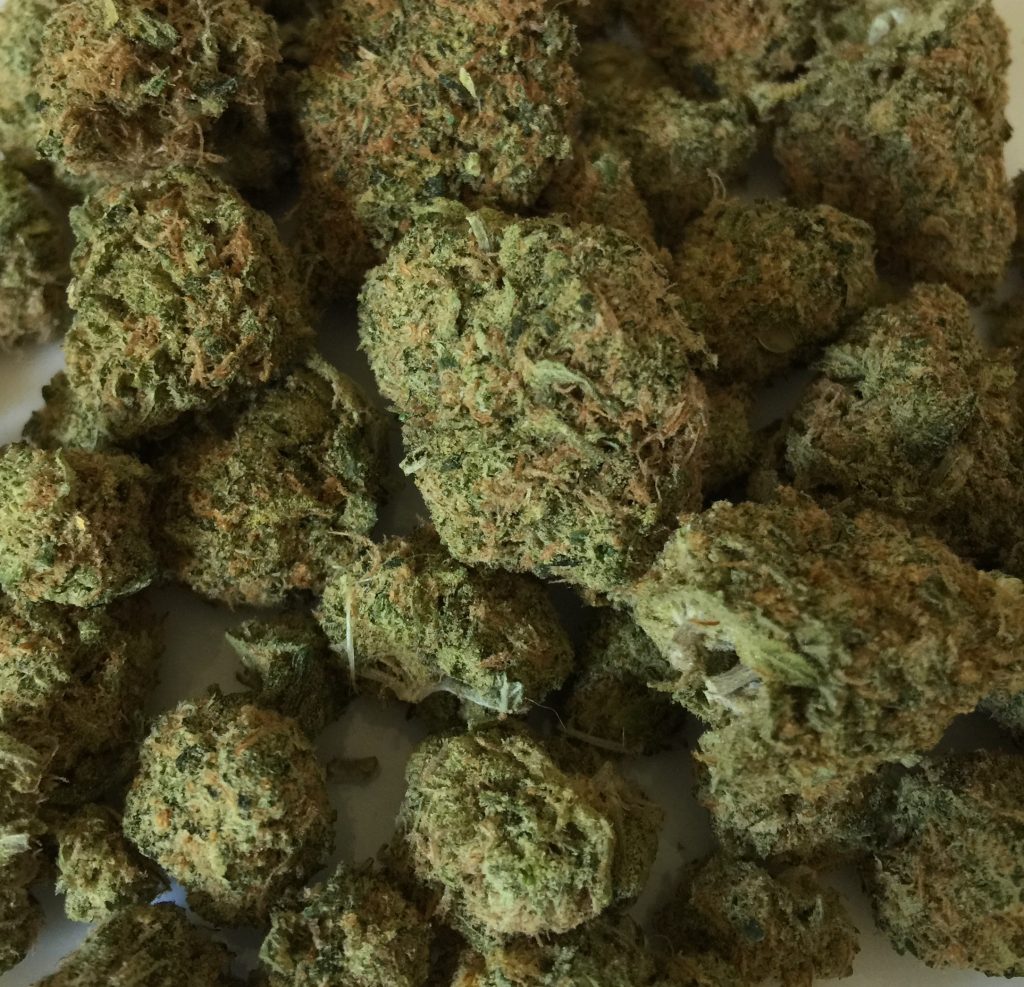 a look at dry cannabis flower