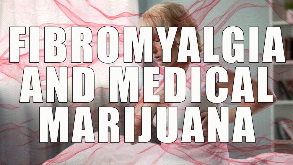 Fibromyalgia And Medical Marijuana | Green Health Docs©