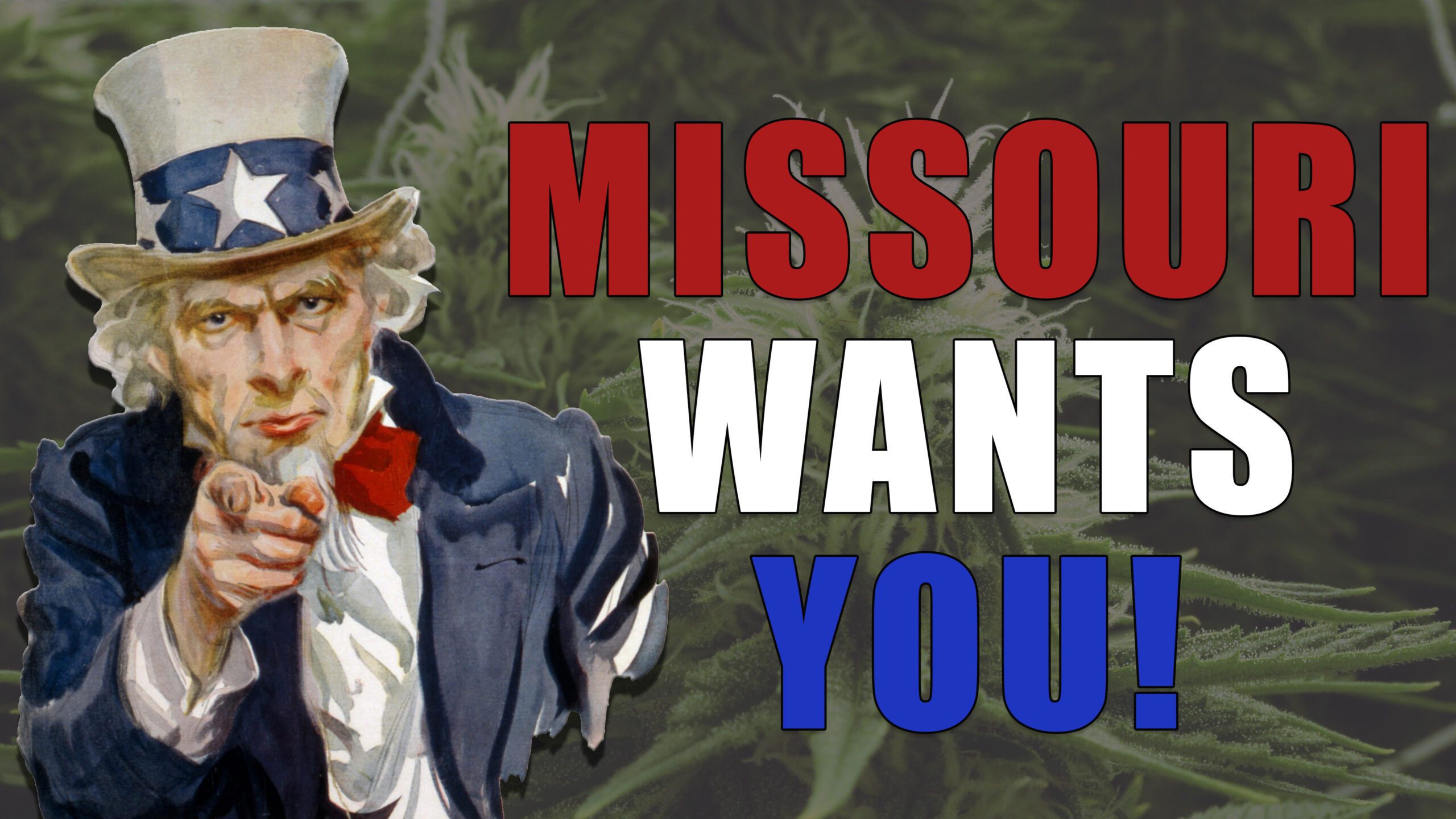 Missouri Marijuana Feedback