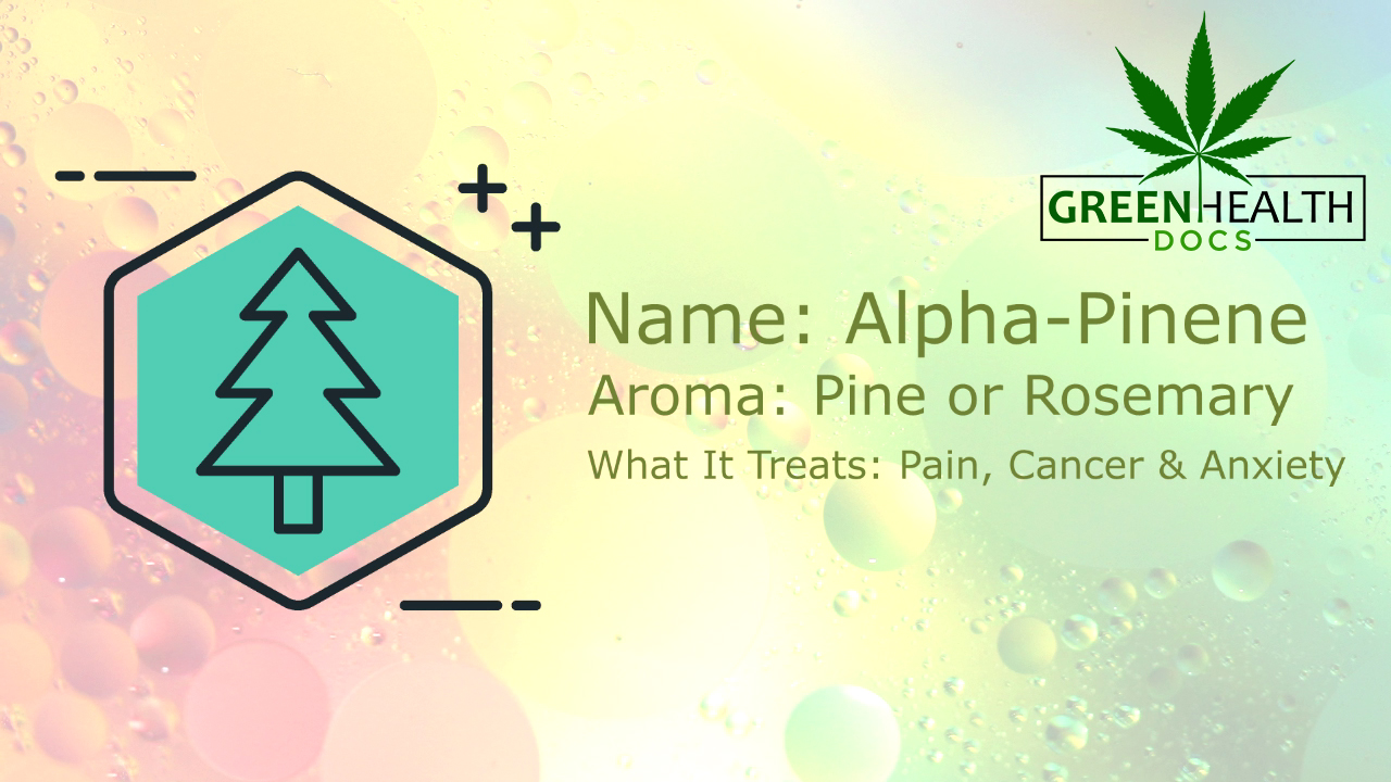 Common Cannabis Terpenes
