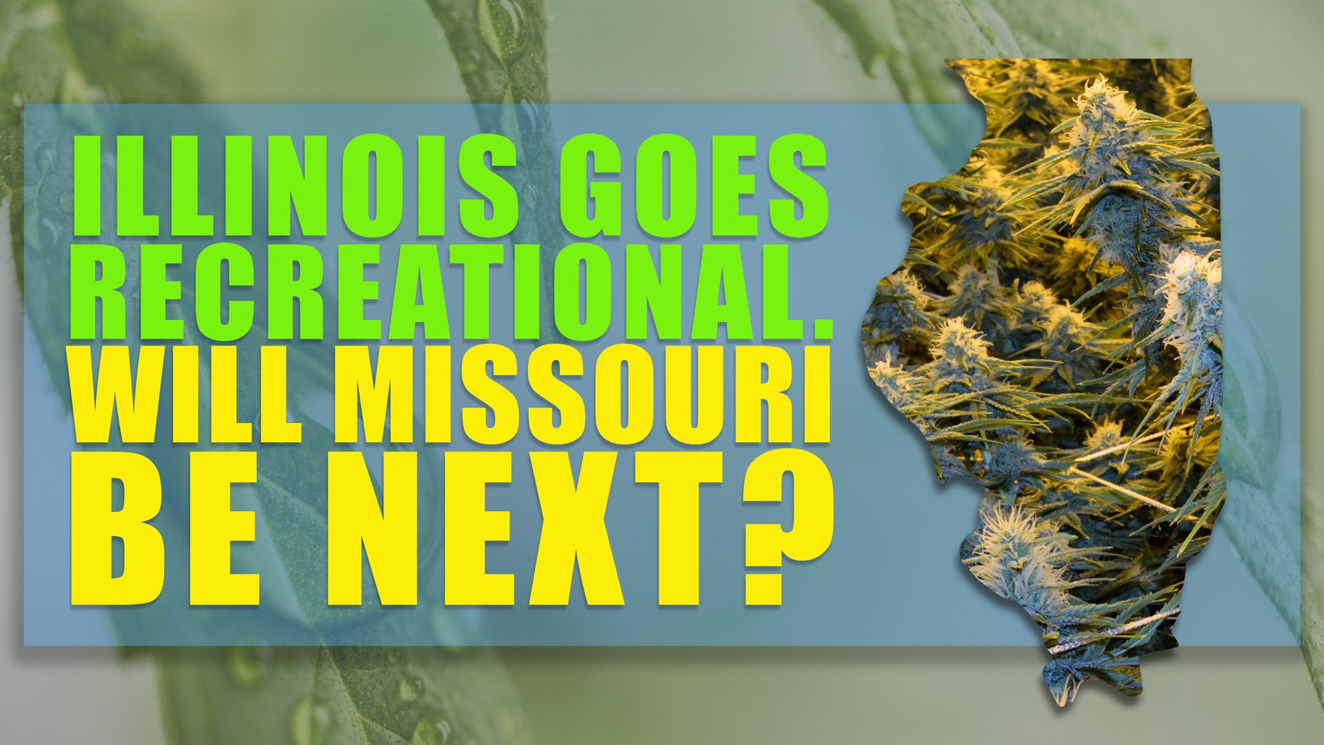 Illinois Goes Recreational! Could Missouri Be Next? Green Health Docs