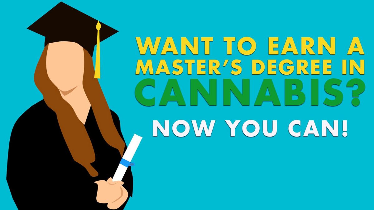 cannabis master's degree