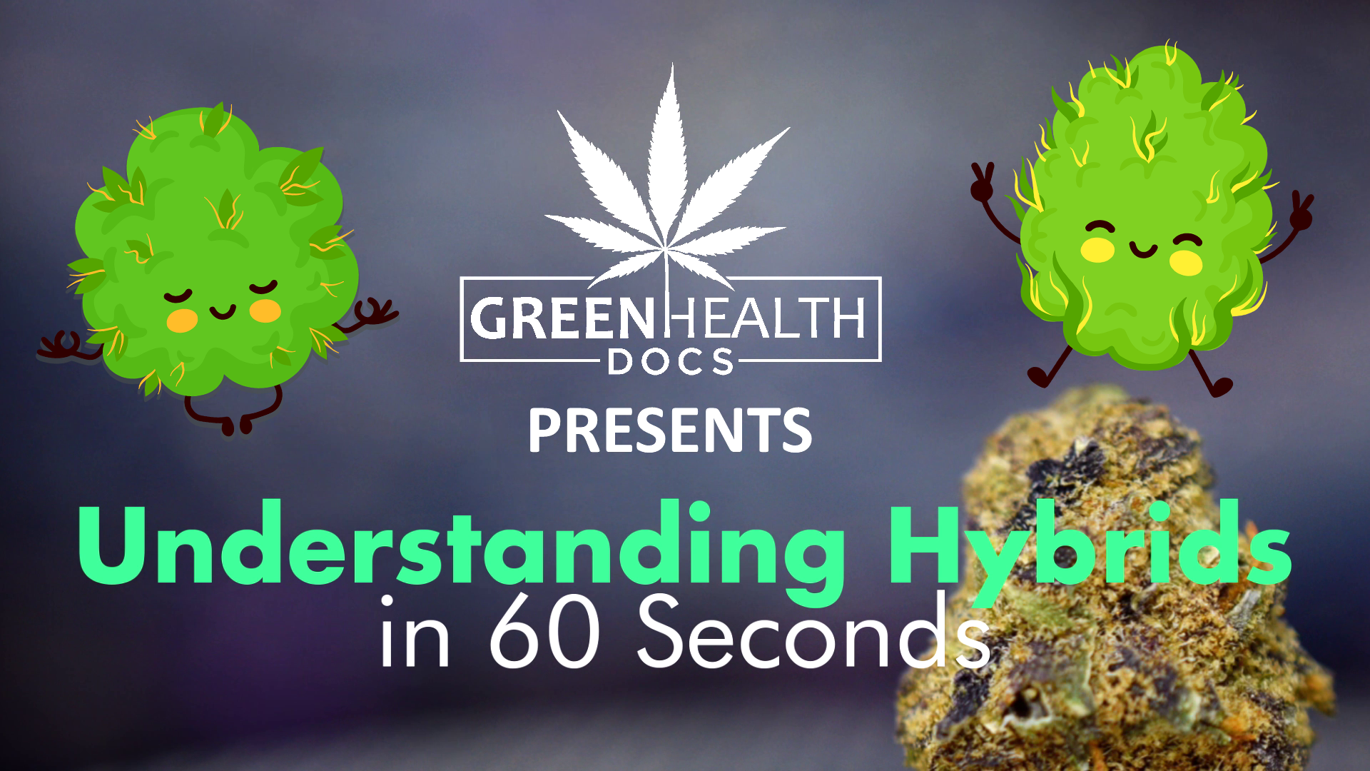Understanding Hybrid Strains