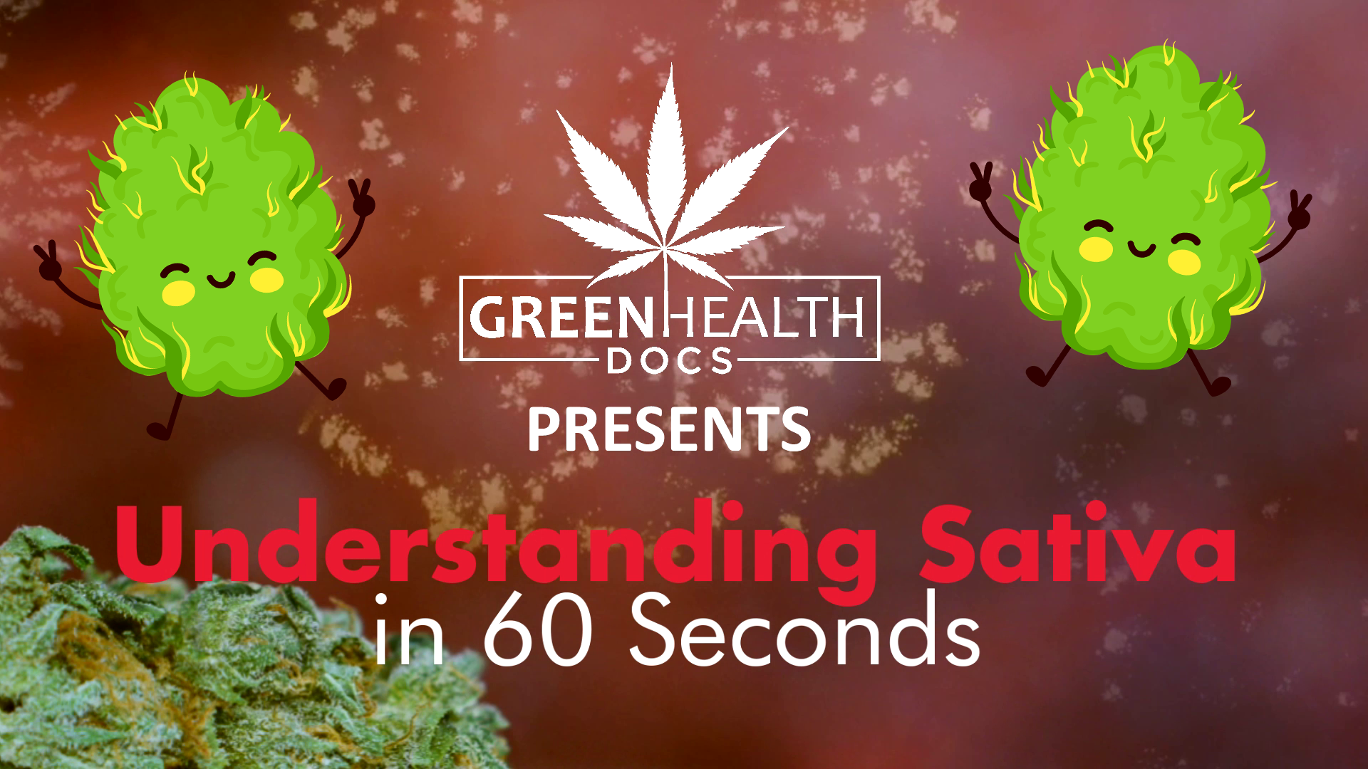 Understanding Sativa