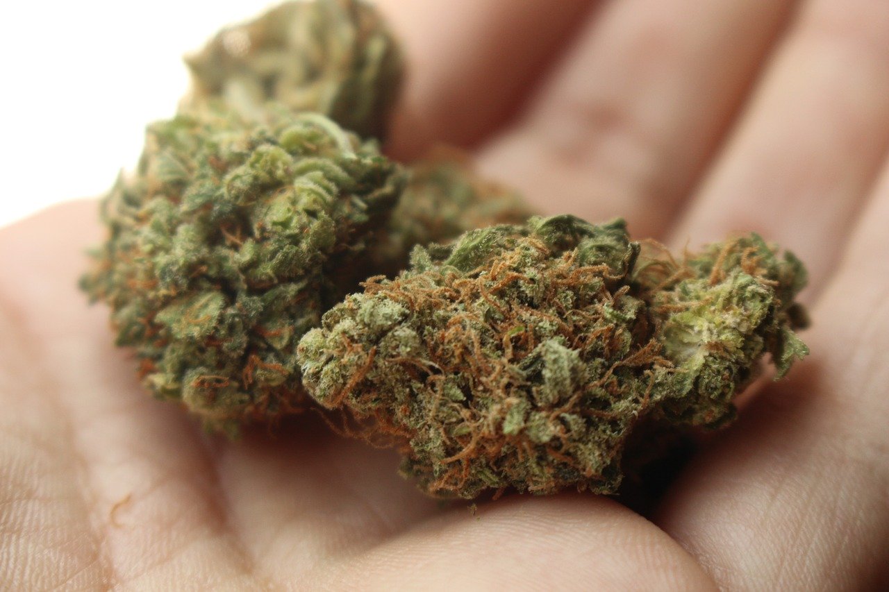 Dangers Of Laced Weed Education Precautions