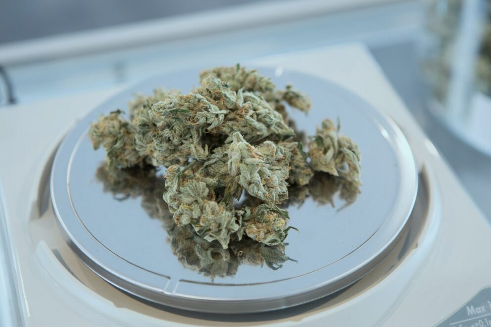medical marijuana flower on a scale in Utah