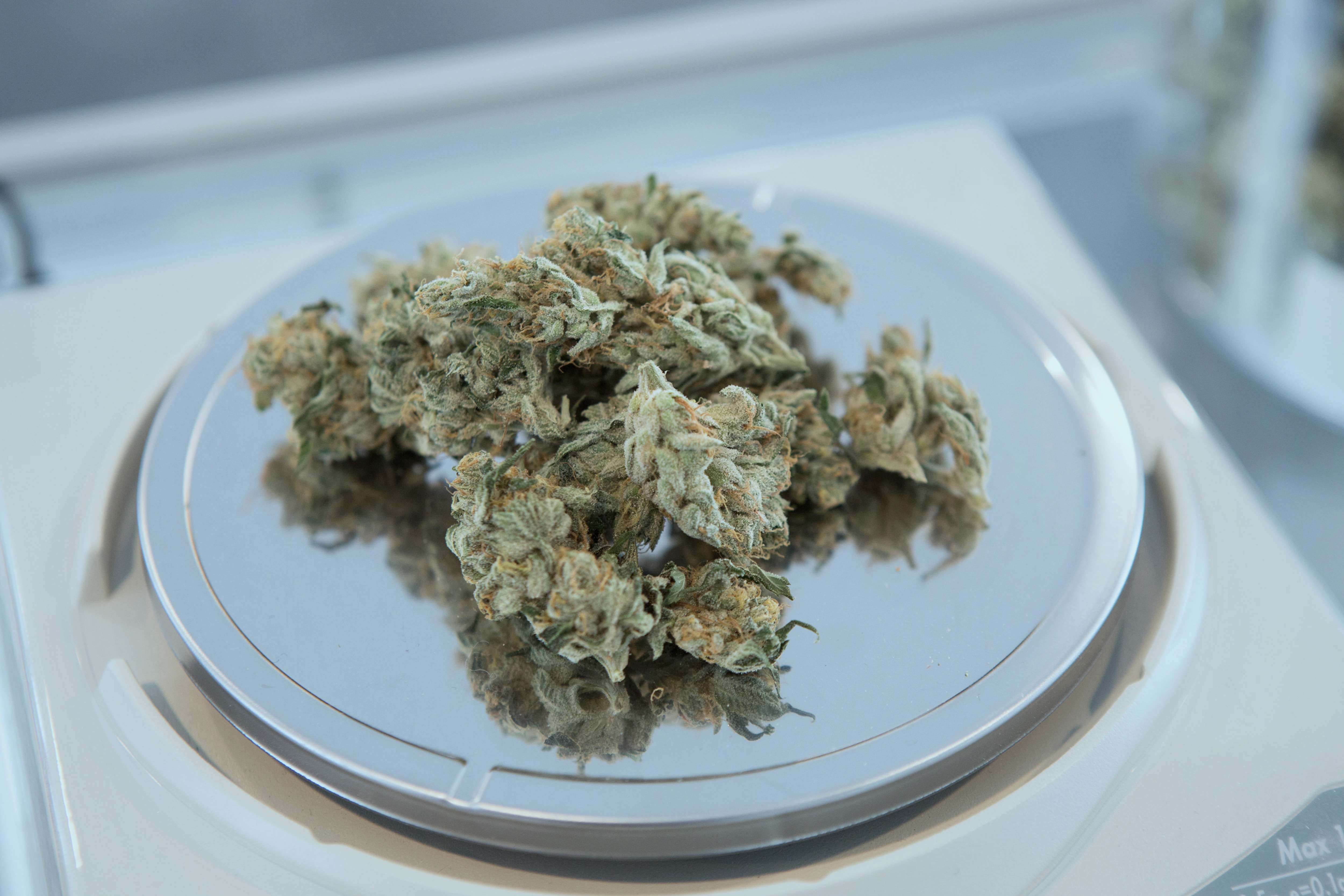medical marijuana flower on a scale in Utah