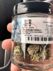 date of harvest label on a marijuana jar