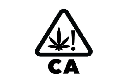 Cannabis identifier