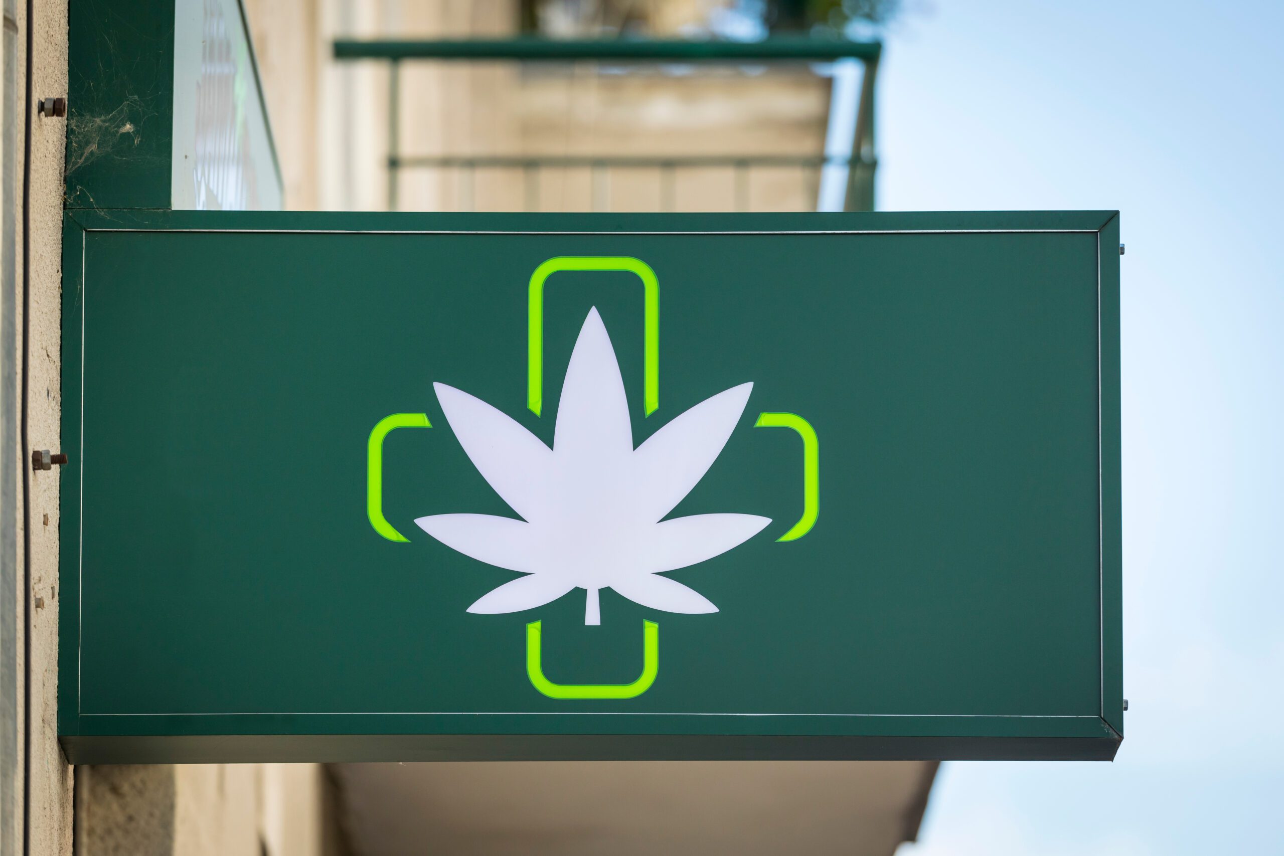 Dispensary Plus - Yazoo City, MS | Green Health Docs