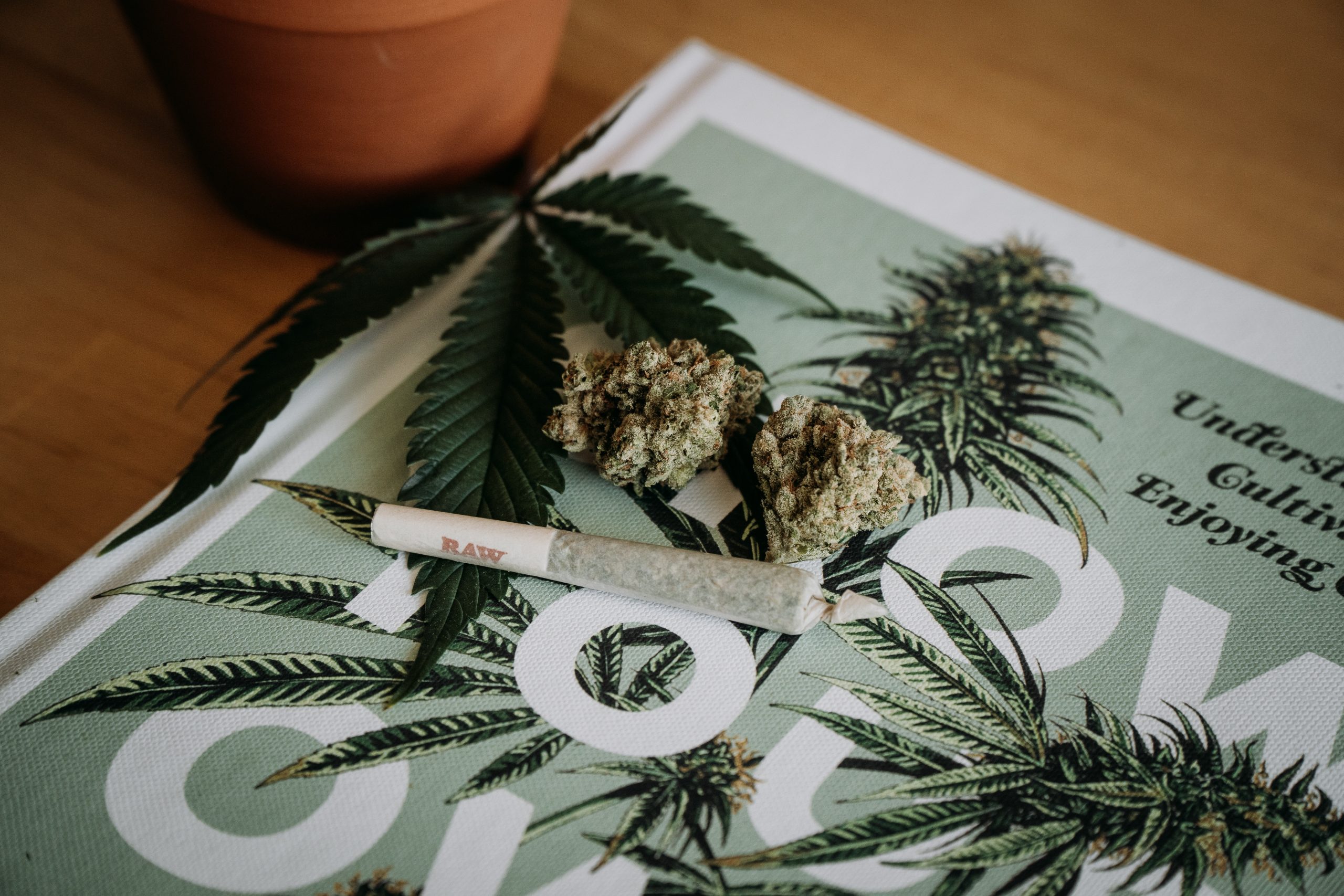 How Can You Buy Cannabis Legally?