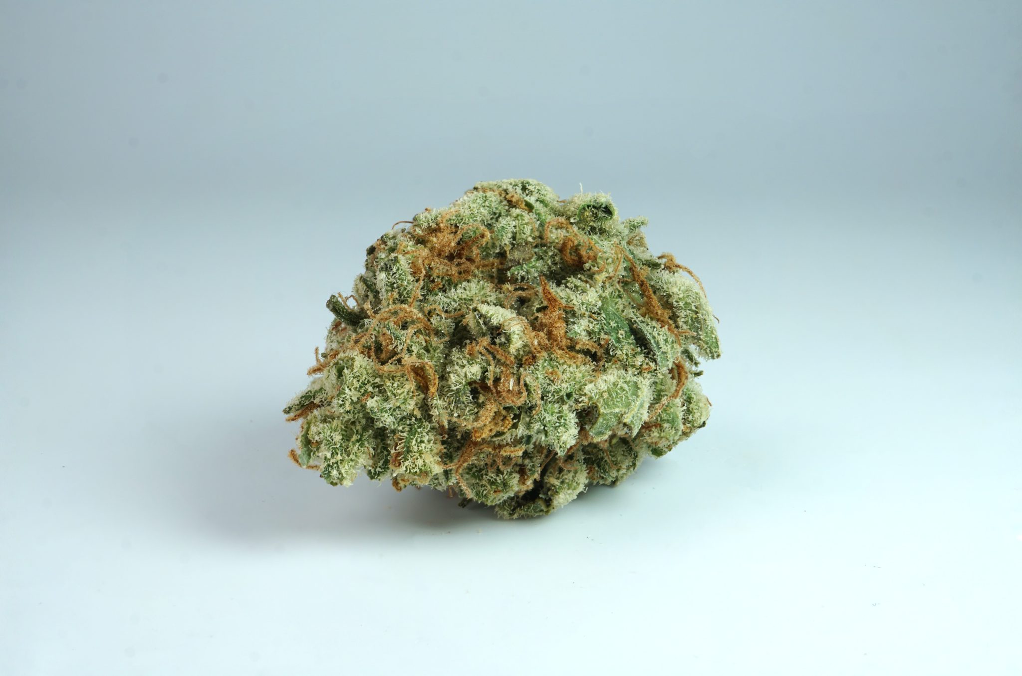 What Is Hybrid Weed? Indica Vs Sativa Vs Hybrid Weed Strains