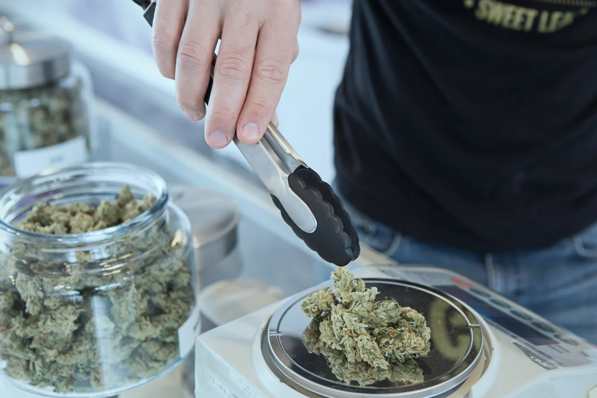 Recreational Marijuana In Maryland