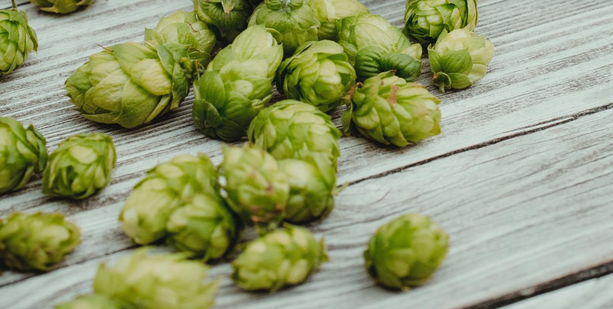 Beta-Caryophyllene Terpene Benefits, Effects & Strains