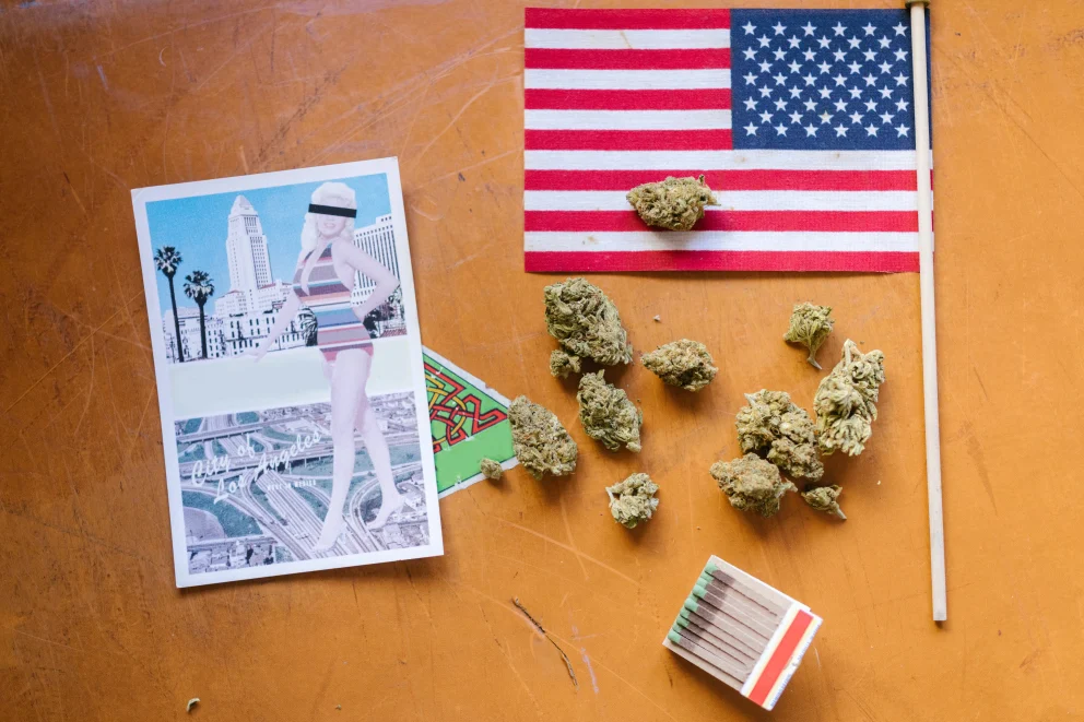 cannabis laws in america