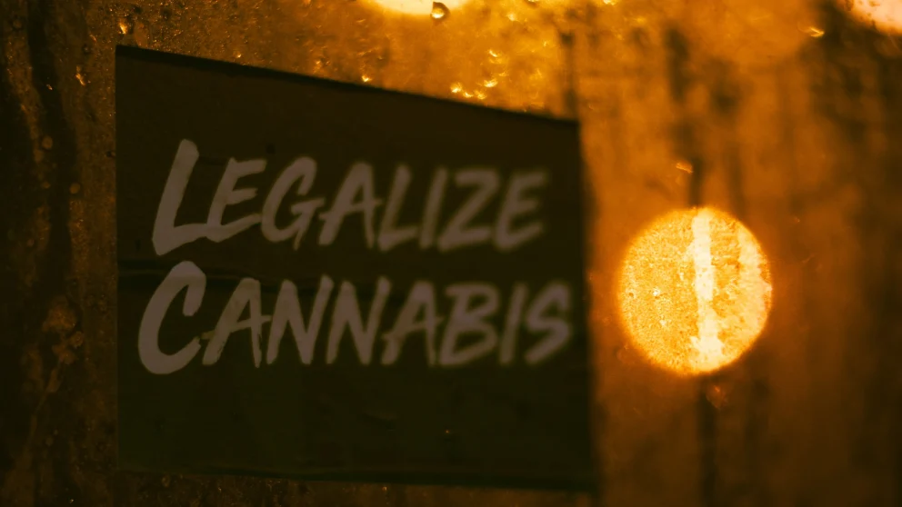 Marijuana Decriminalization vs Legalization