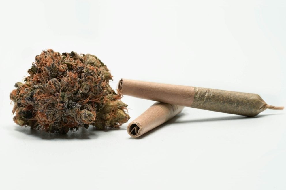 How Much Does Medical Marijuanas Cost in Mississippi