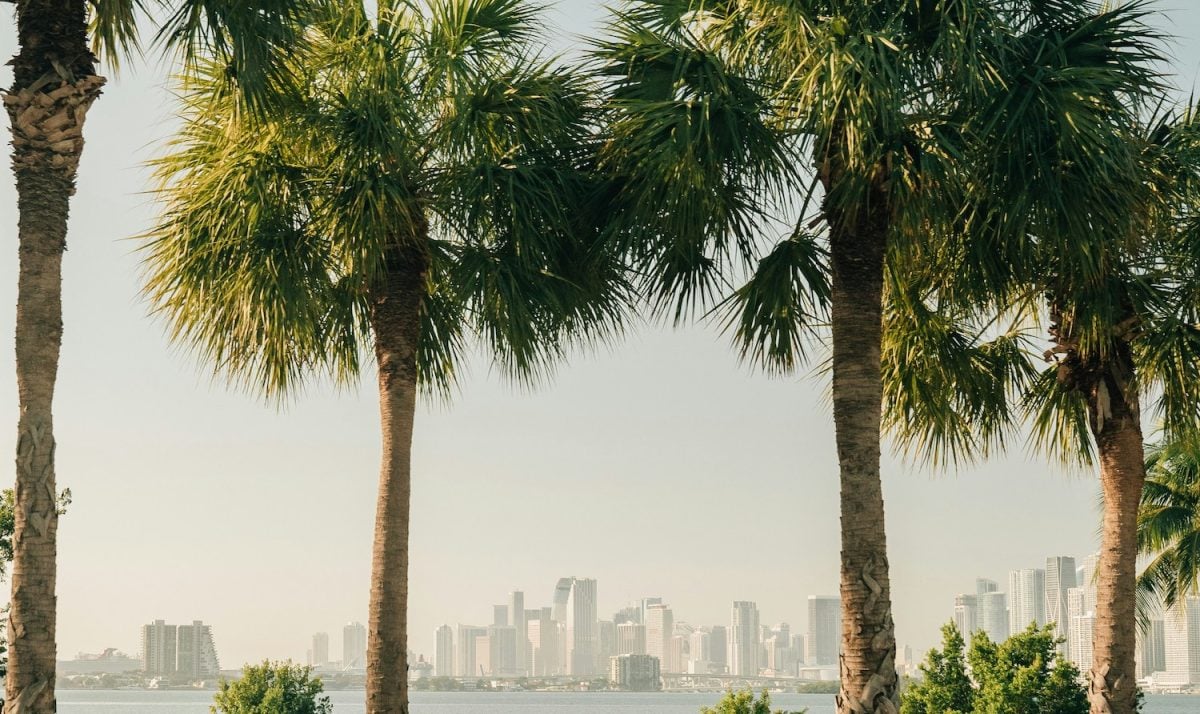 How much does medical weed cost in Florida