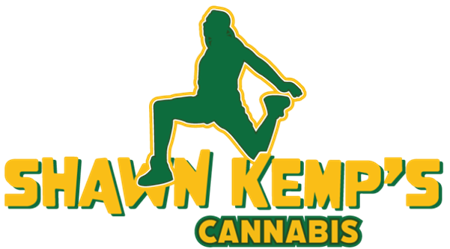 skc logo skc logo