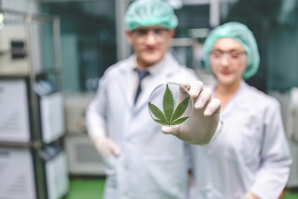 Apply for Your Texas Medical Marijuana Card Today