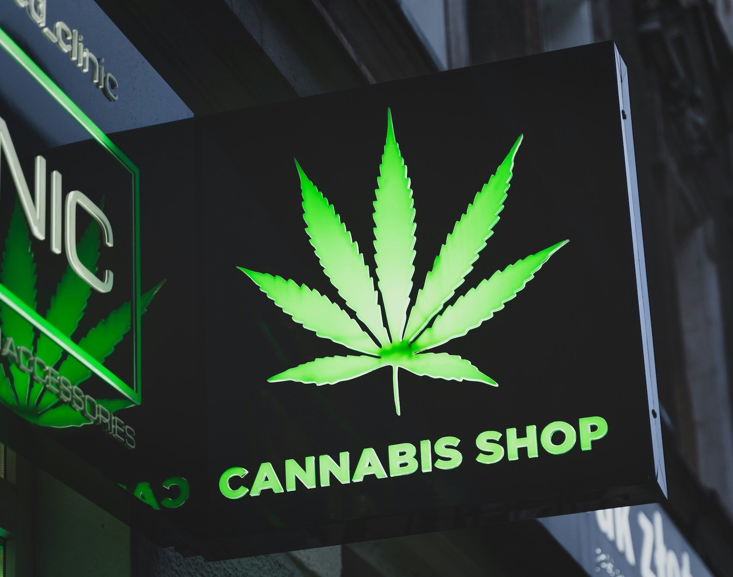 How to Apply for a Washington Medical Marijuana Card Online in 3 Steps How to Apply for a Washington Medical Marijuana Card Online in 3 Steps